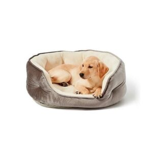 Dog Beds